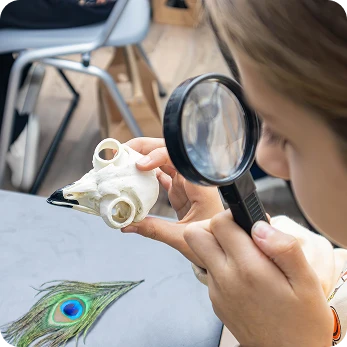 Learn & Dream Школа